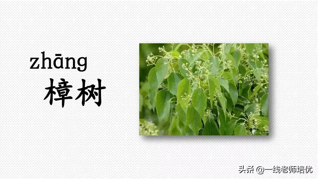 小学二年级上册语文园地四知识点,四年级下册语文语文园地二知识点