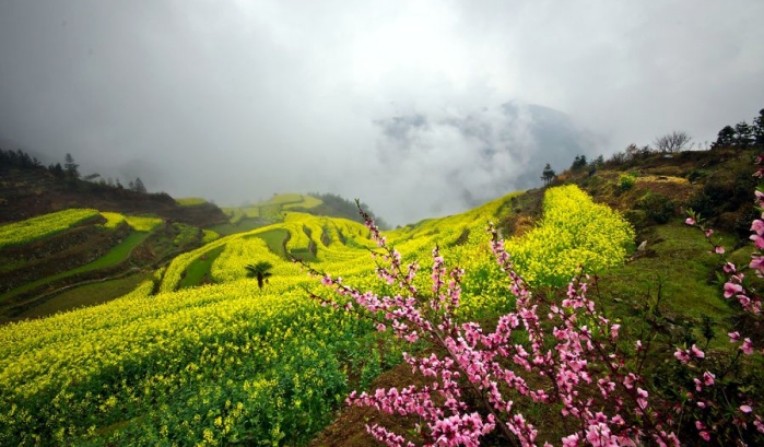 皖南必去5个地方,皖南此生必去的6大旅行地