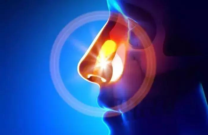 过敏性鼻炎最有效的特效药,尘螨过敏性鼻炎有什么特效药吗