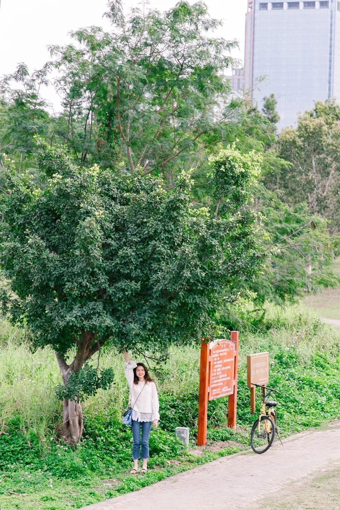 深圳周末带孩子免费游玩好去处,2021深圳免费适合遛娃玩地方排名