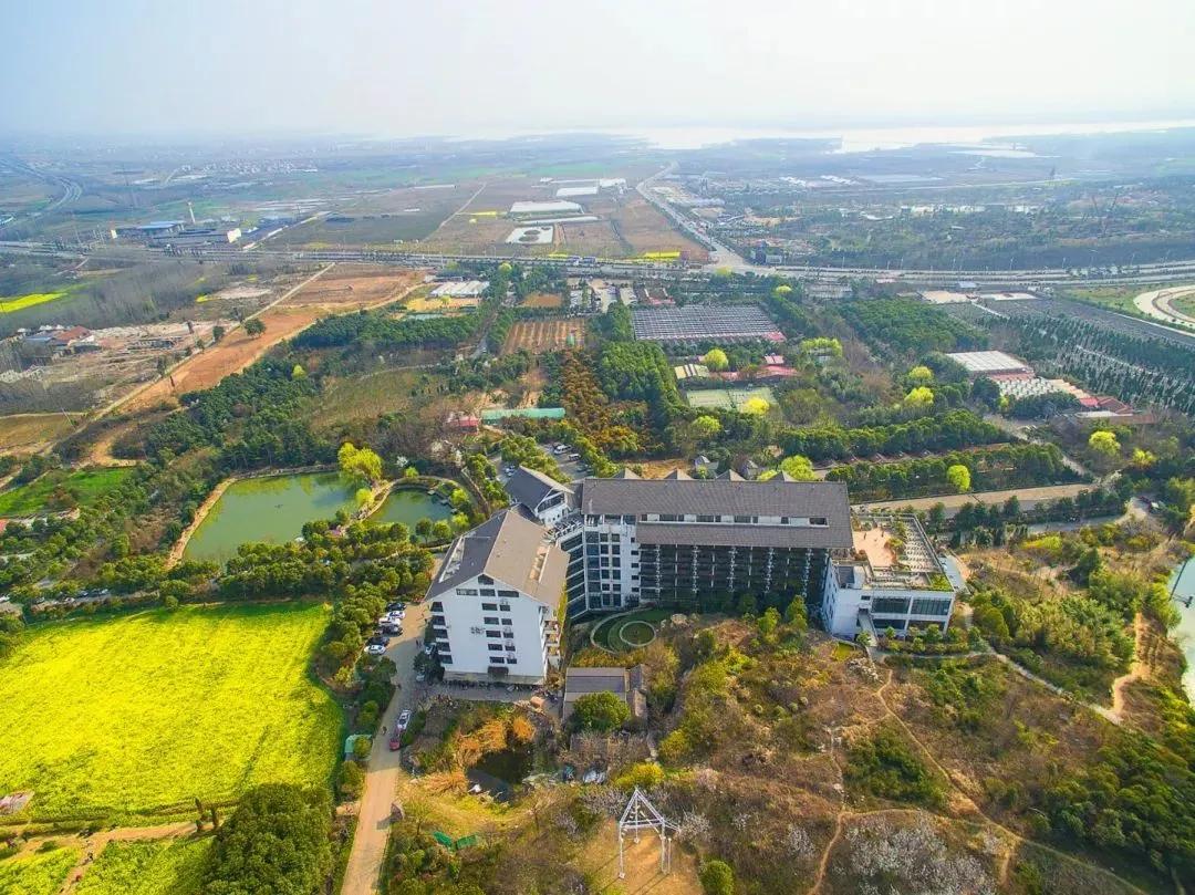 蚌埠市十大网红,蚌埠城市魅力排行