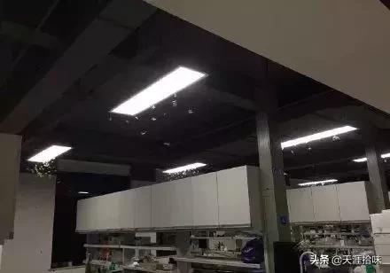 台风来了海岸上很多虫子,台风后出现的虫子