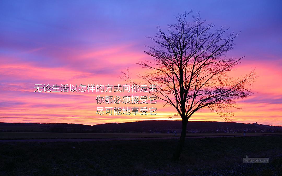 拼多多无货源开店流程及费用多少,拼多多无货源开店如何操作