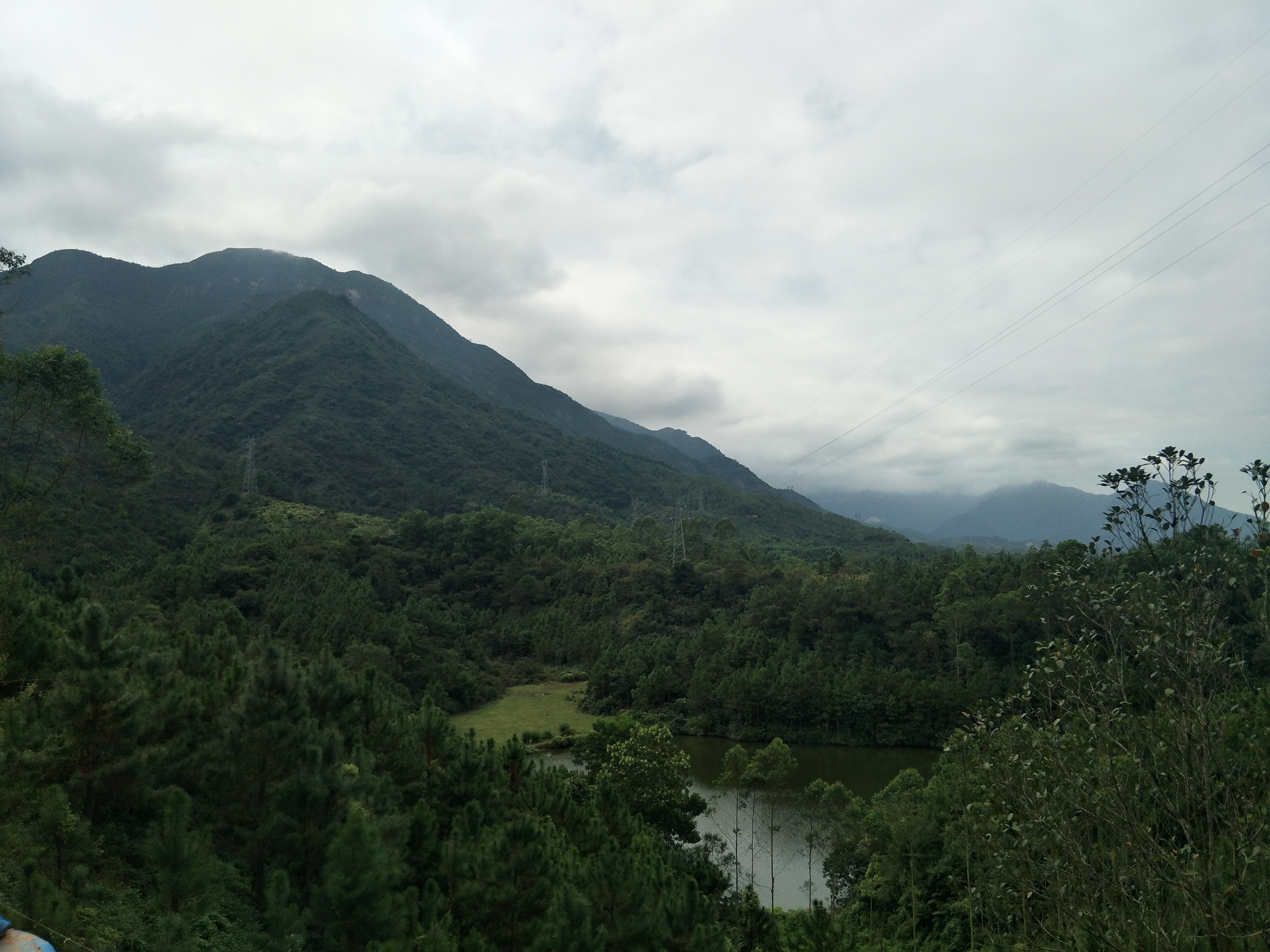 教你诱蜂养蜂技巧,30年养蜂经验和寻蜂技巧