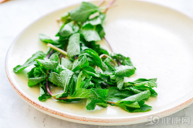 薄荷草养生知识,清凉的薄荷草有什么作用