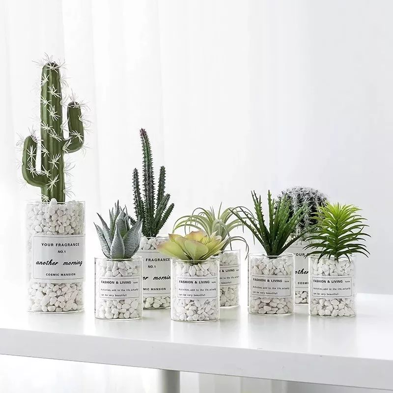 提升生活的幸福感的小物品,提升幸福生活的小物