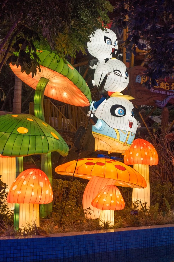 广州长隆旅游攻略自由行详细,广州长隆五一节3天2夜亲子游攻略