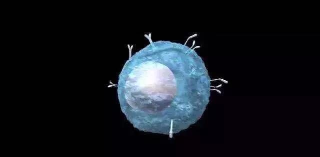 看了科普视频感想,免疫学科普视频