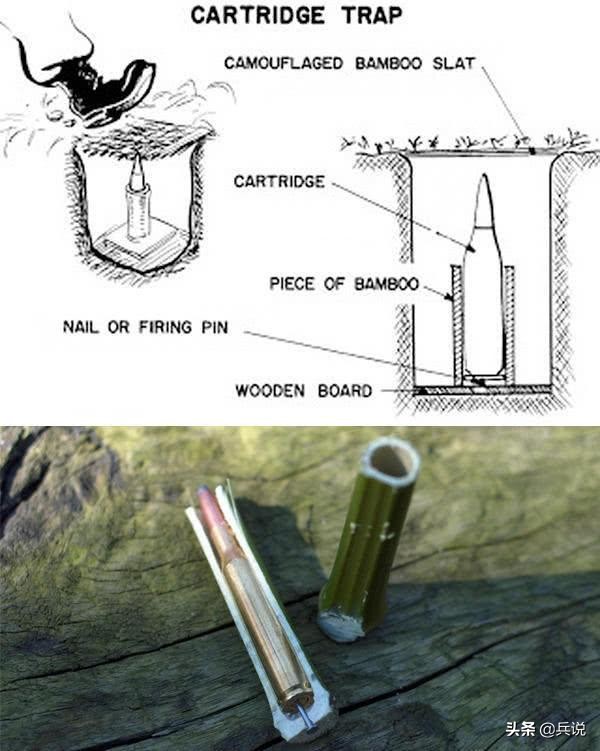 越军遍设竹尖陷阱,外加毒蛇,美军闻风丧胆,不敢收尸