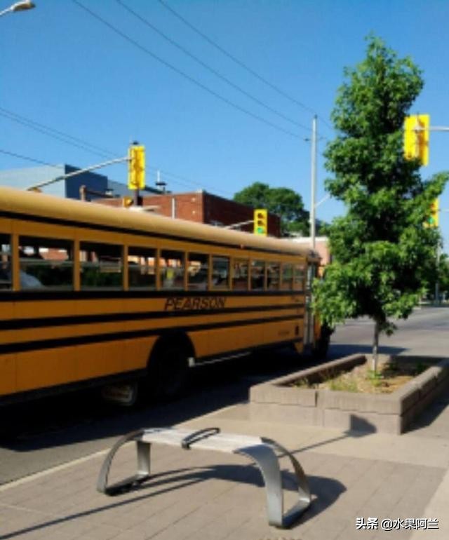 新西兰旅游攻略租车,加国自驾游攻略