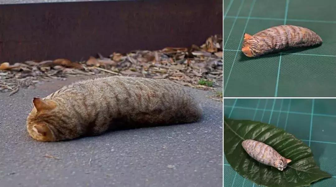 动物星球沙雕系列手办,你从未见过的沙雕手办