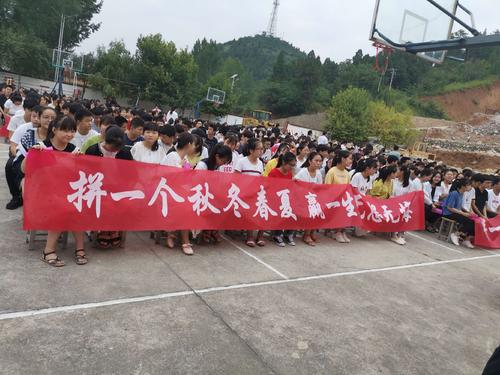 征集志愿查不到录取信息怎么回事,查看不了征集志愿填报信息为什么