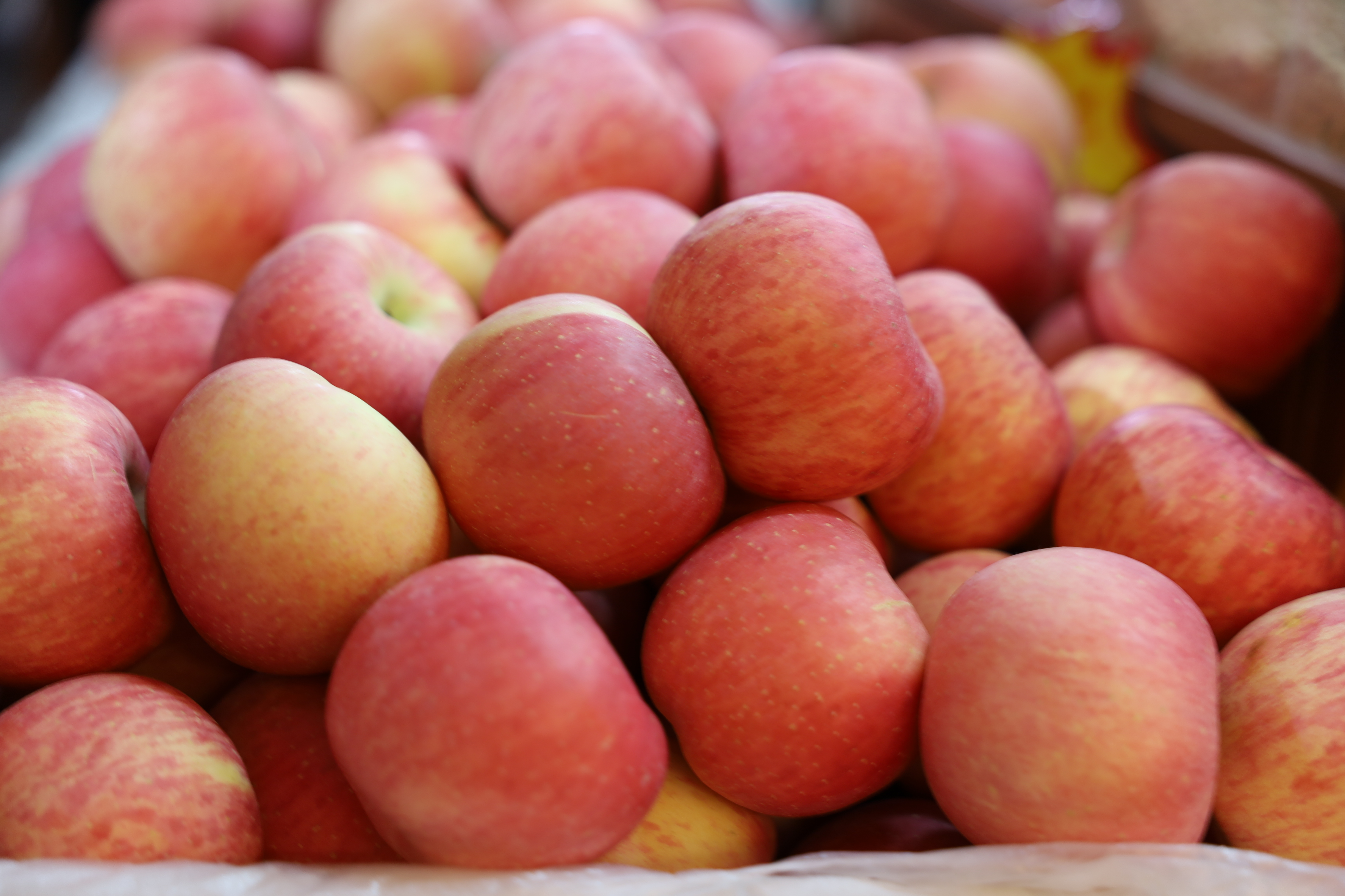 无锡万达国旅情系延安旅游平台助力延安苹果在锡销售