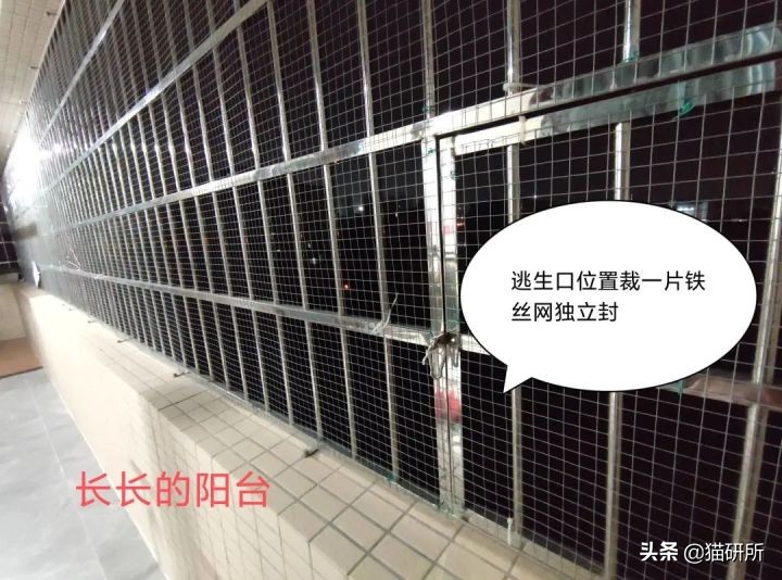 高层养猫到底要不要封窗,封窗养猫