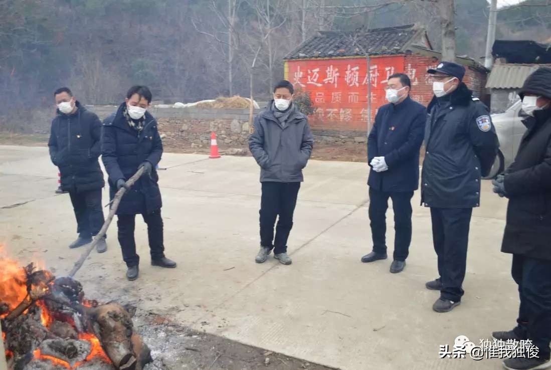 广水吴店镇潘成想：用“体温计”测出抗疫正能量