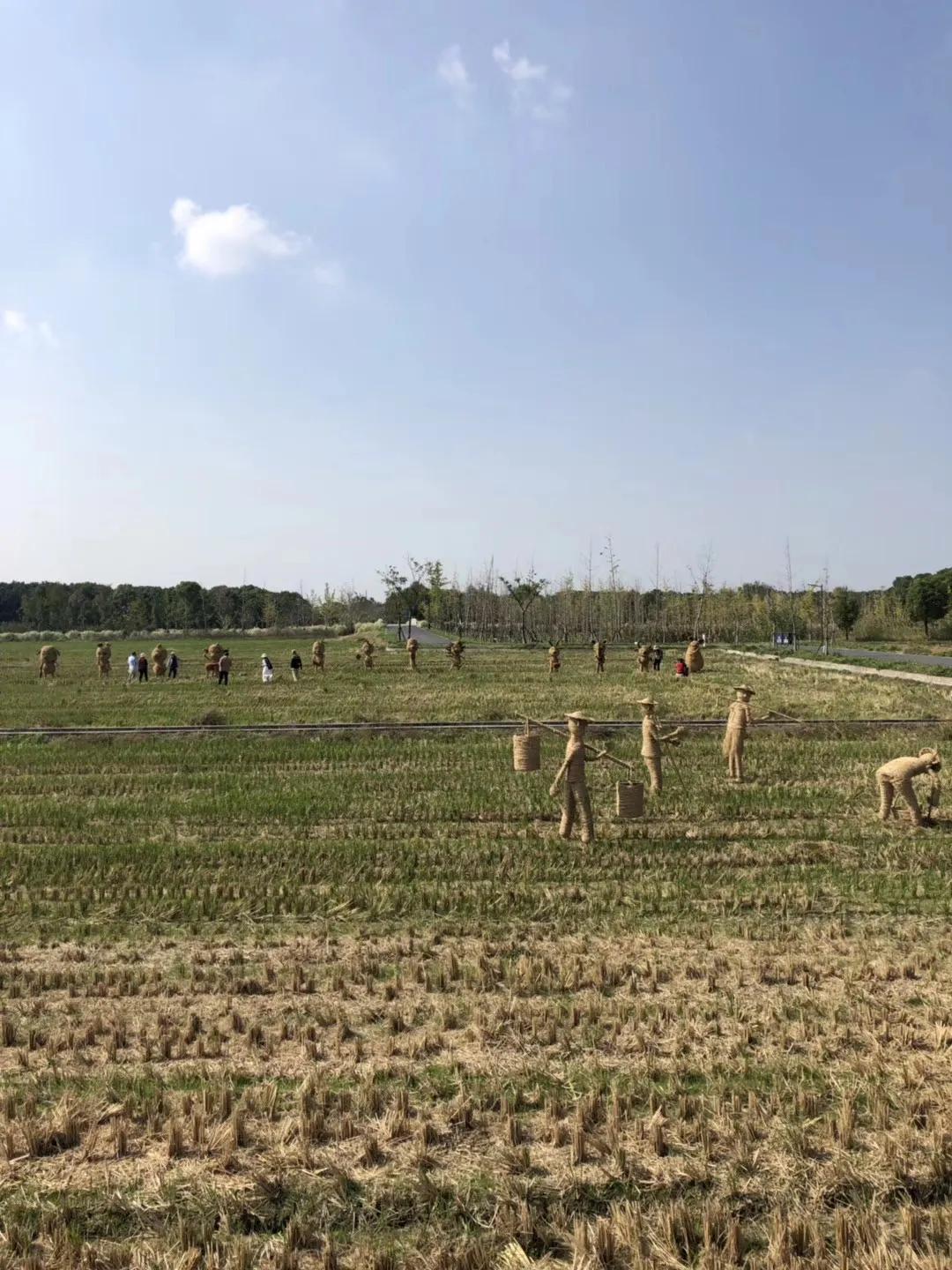 嘉北郊野公园二期,嘉北郊野公园