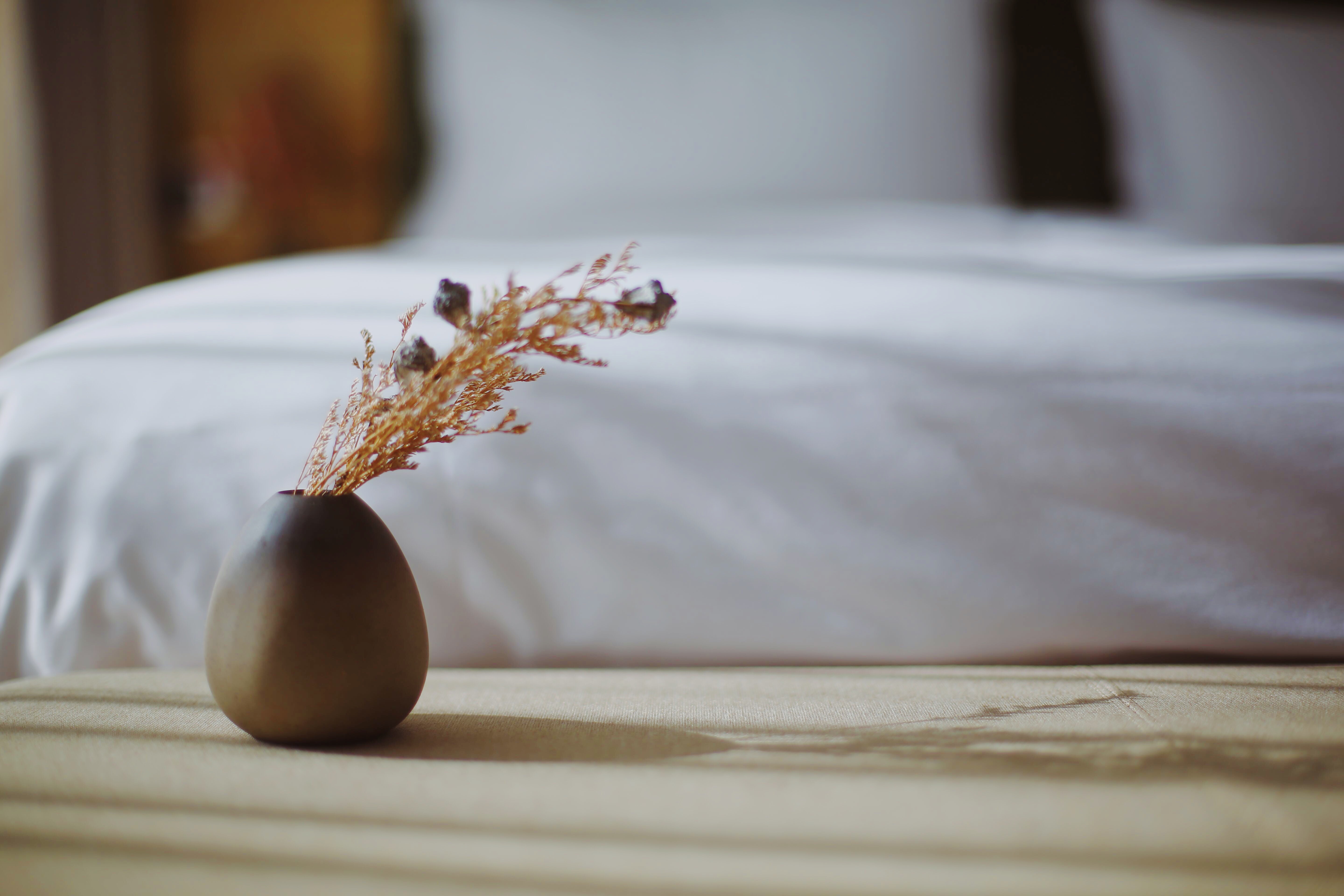 束河古镇民宿雪山下的家,束河古镇住宿看玉龙雪山