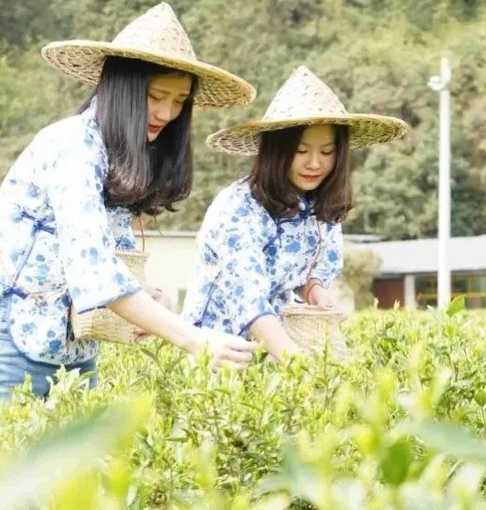 韶关善美直播,善美韶关现场直播活动