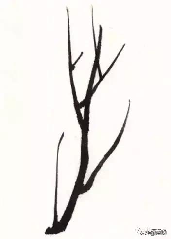 图文教程一学就会画写意菊花,零基础学画梅花教程