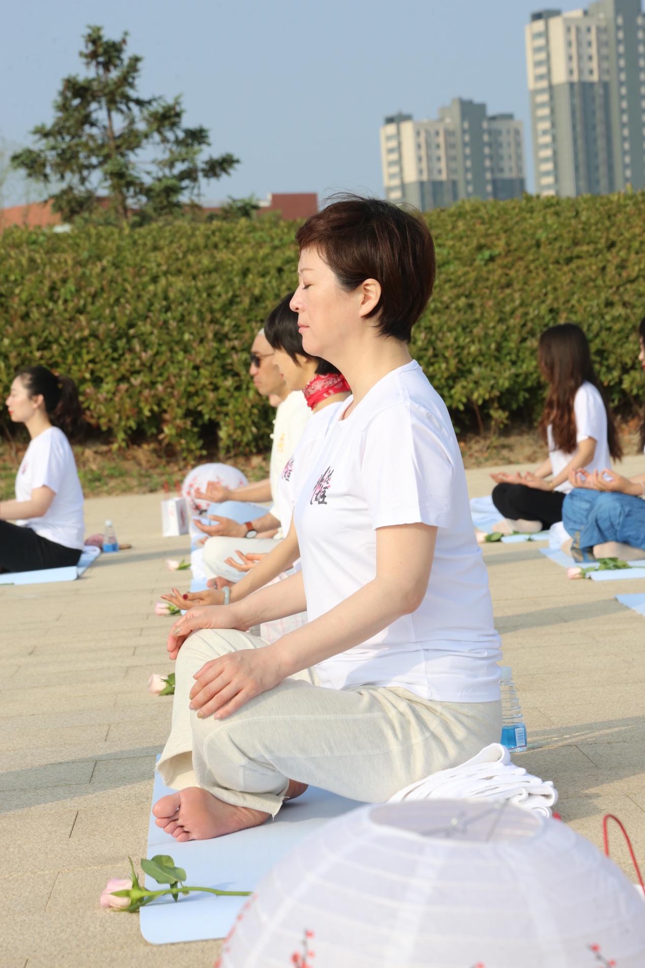 东阿阿胶桃花姬,回归本源找到初心