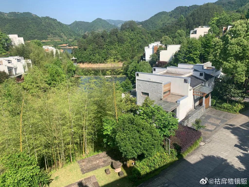 初夏德懋堂，绿树阴浓夏日长