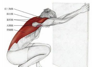 wildfieldhealth蛋白粉的副作用,wildfieldhealth怎么样