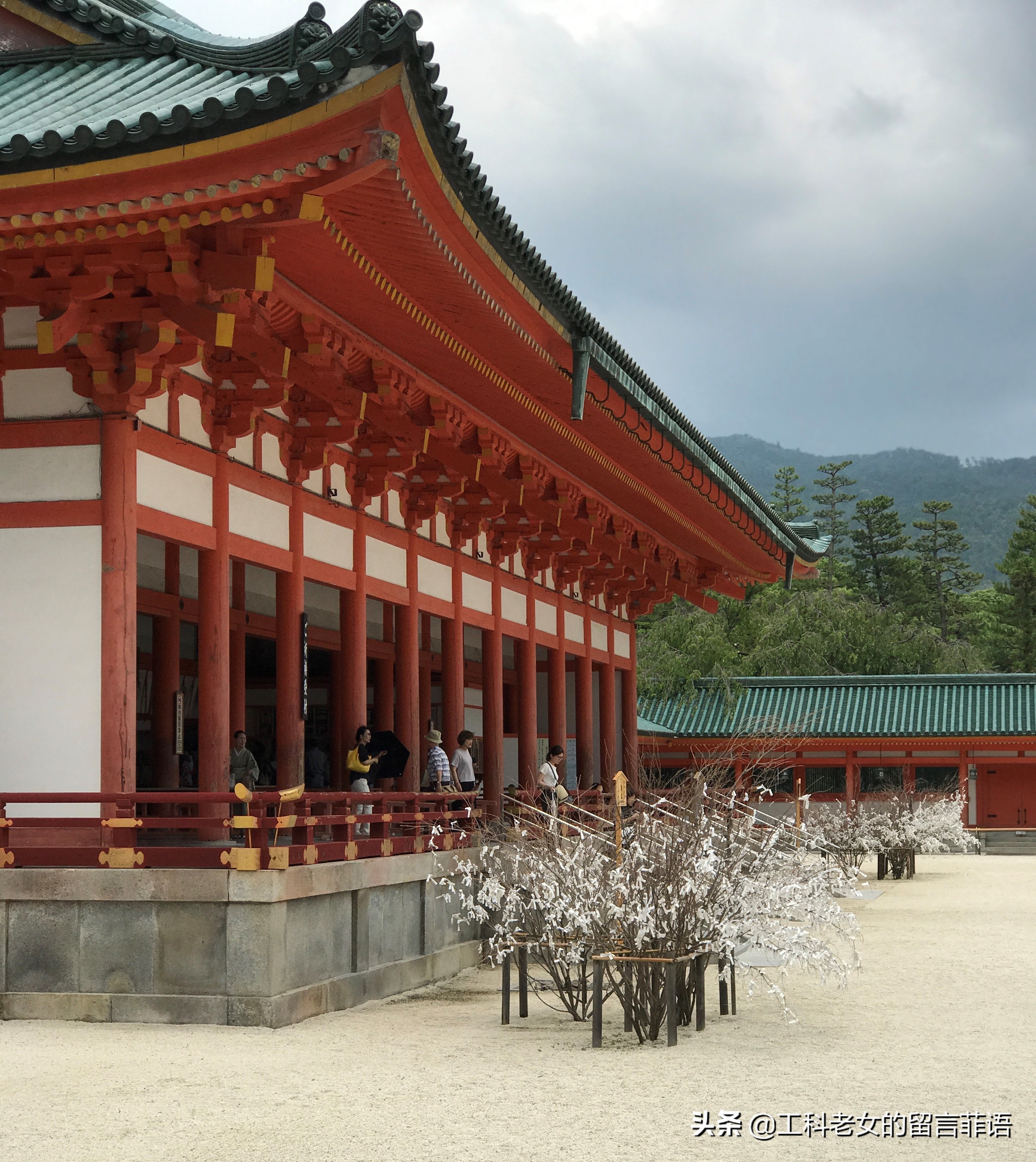 京都之因喜欢这神社的名字就在此卜了一签,却不认字