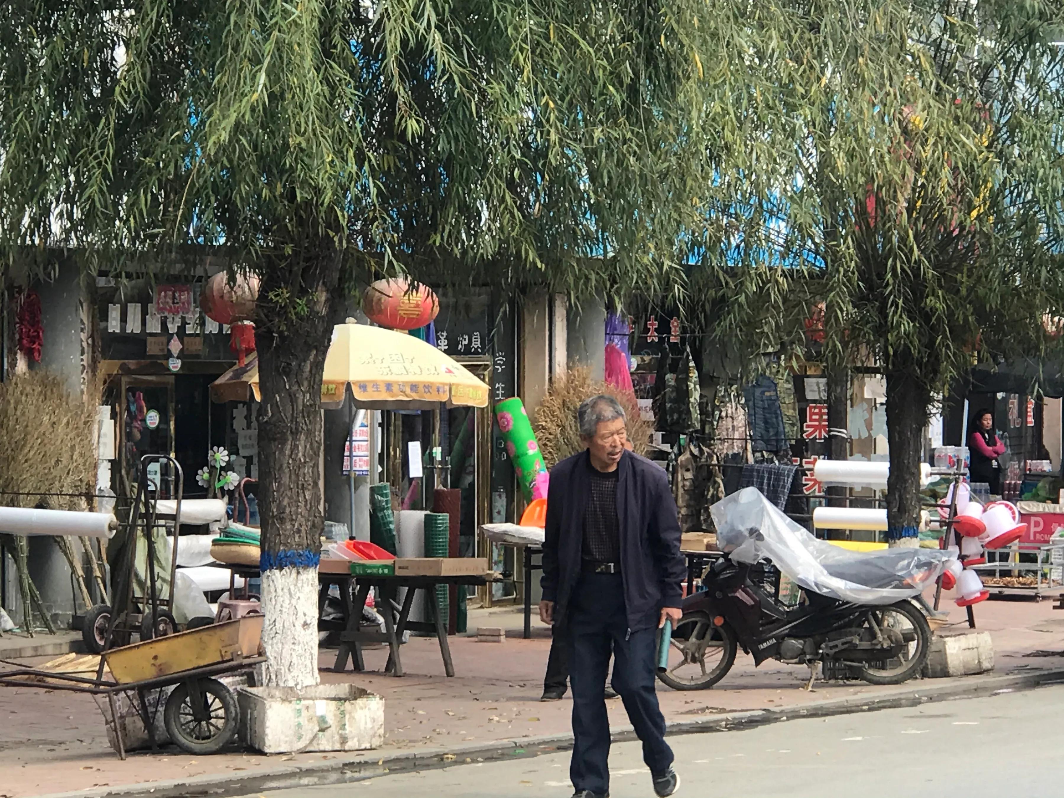 长白山脚下美丽的松山镇，因千岁的红豆杉而闻名