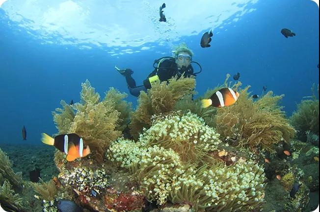 巴厘岛旅游美食攻略,深度美食美景