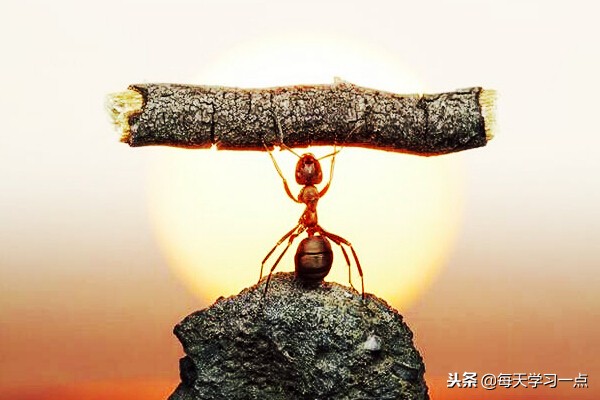 我们为什么要努力的7个理由,该怎么努力找不到努力的方向