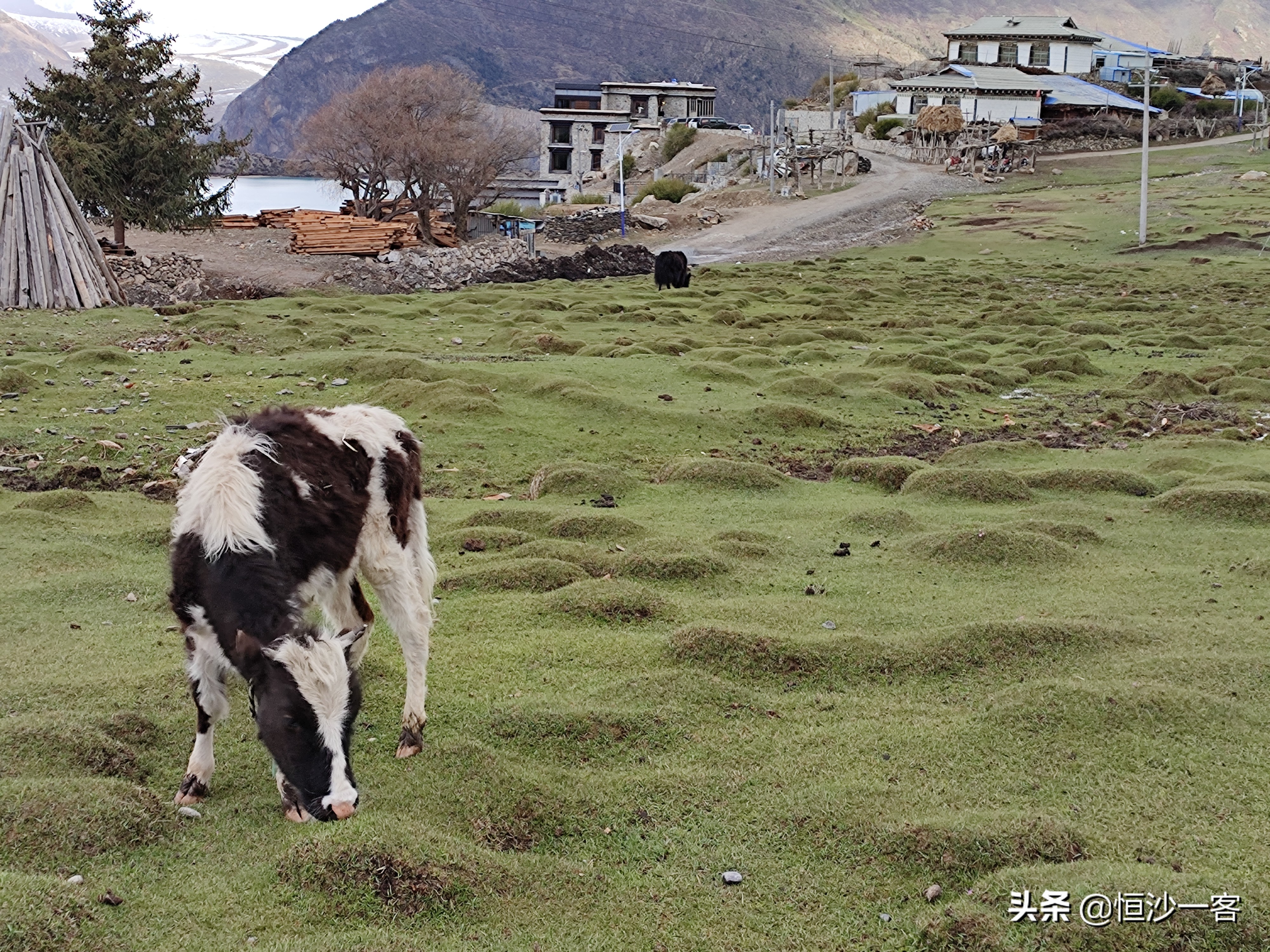来古村徒步到冰川,来古村来古冰川旅行攻略