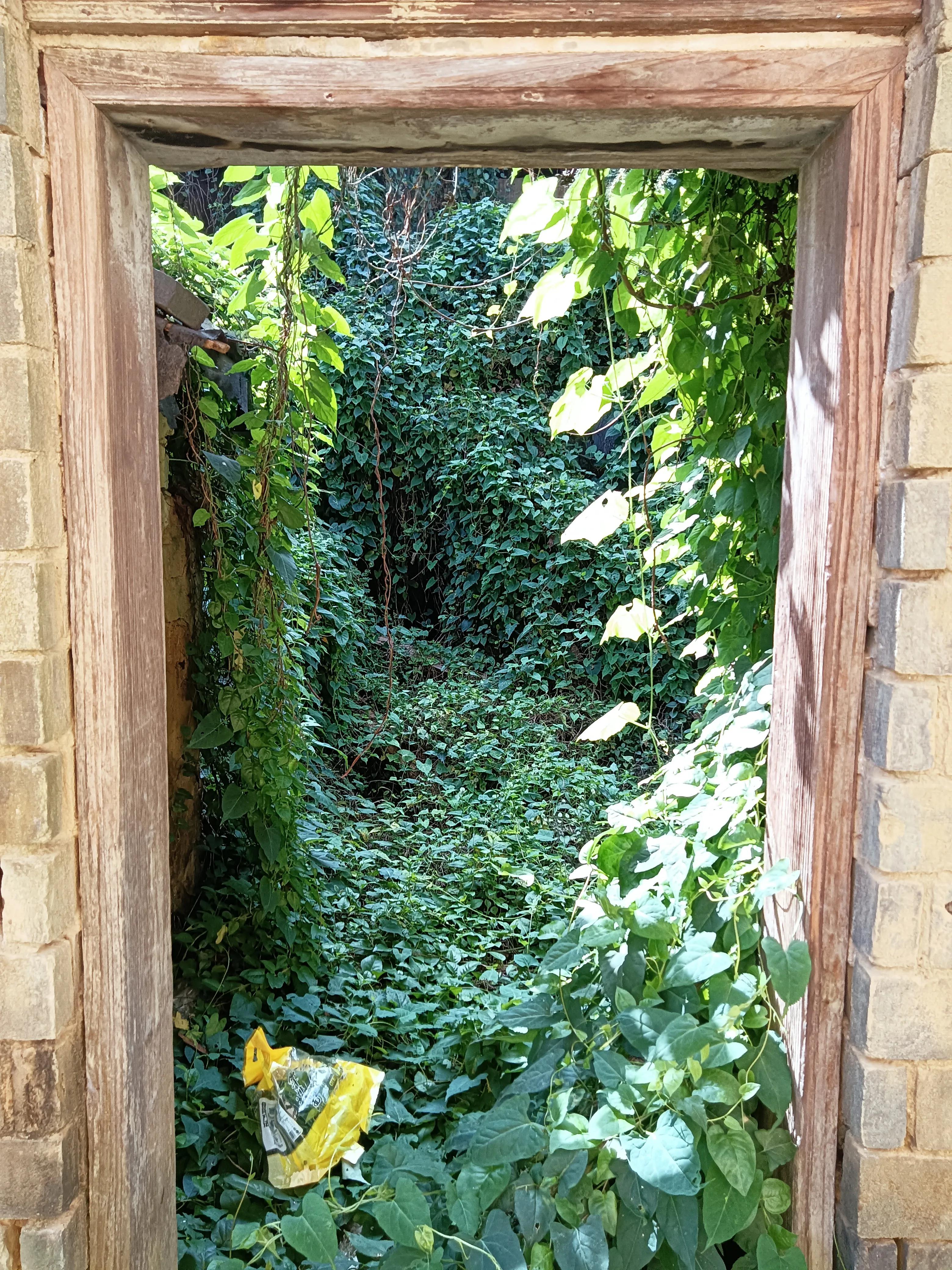 饶平三饶四方塘老榕树在哪里,榕树爷爷是合唱还是独唱