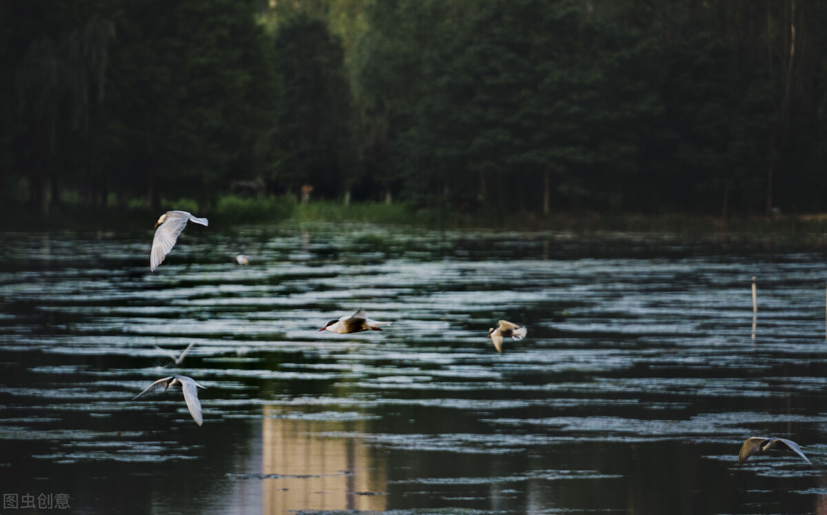 长沙本地一日游最佳路线,长沙一日游旅游线路