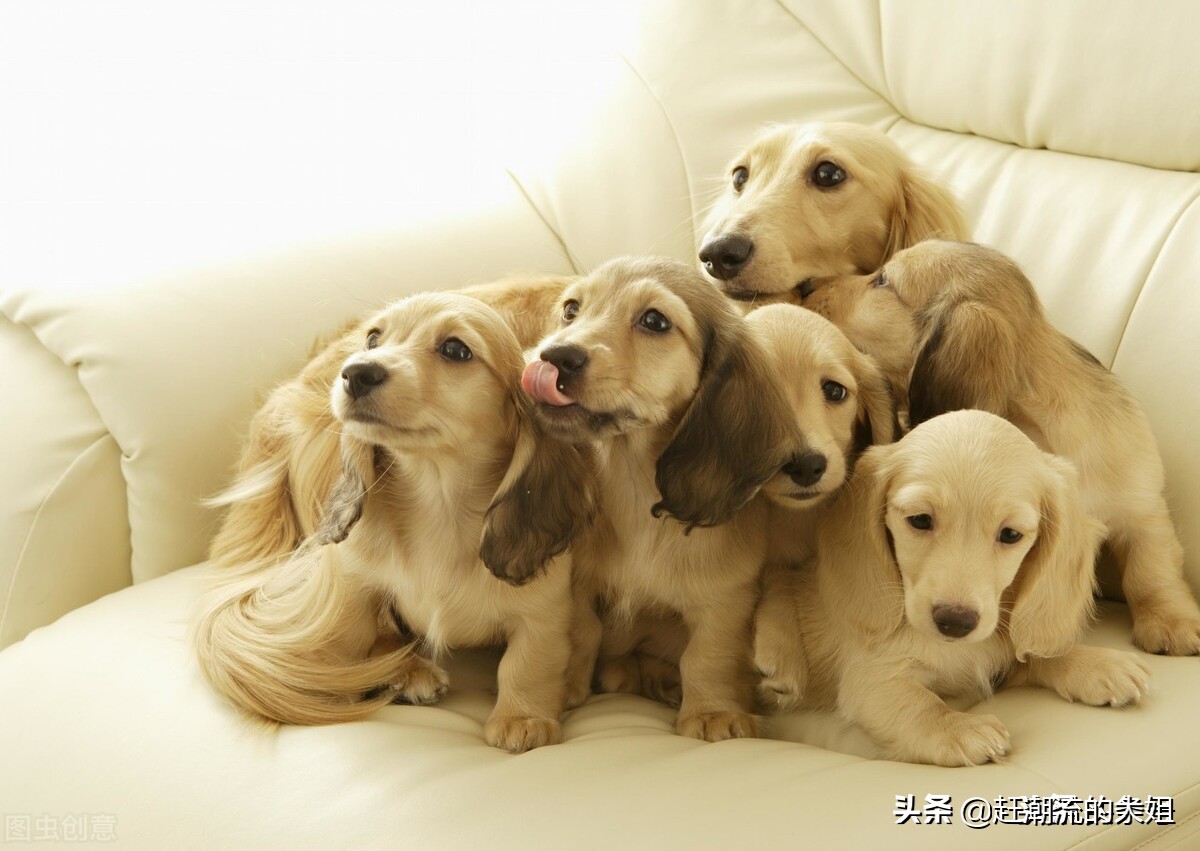 这4类东西不建议在网上买,什么商品不建议在网上买