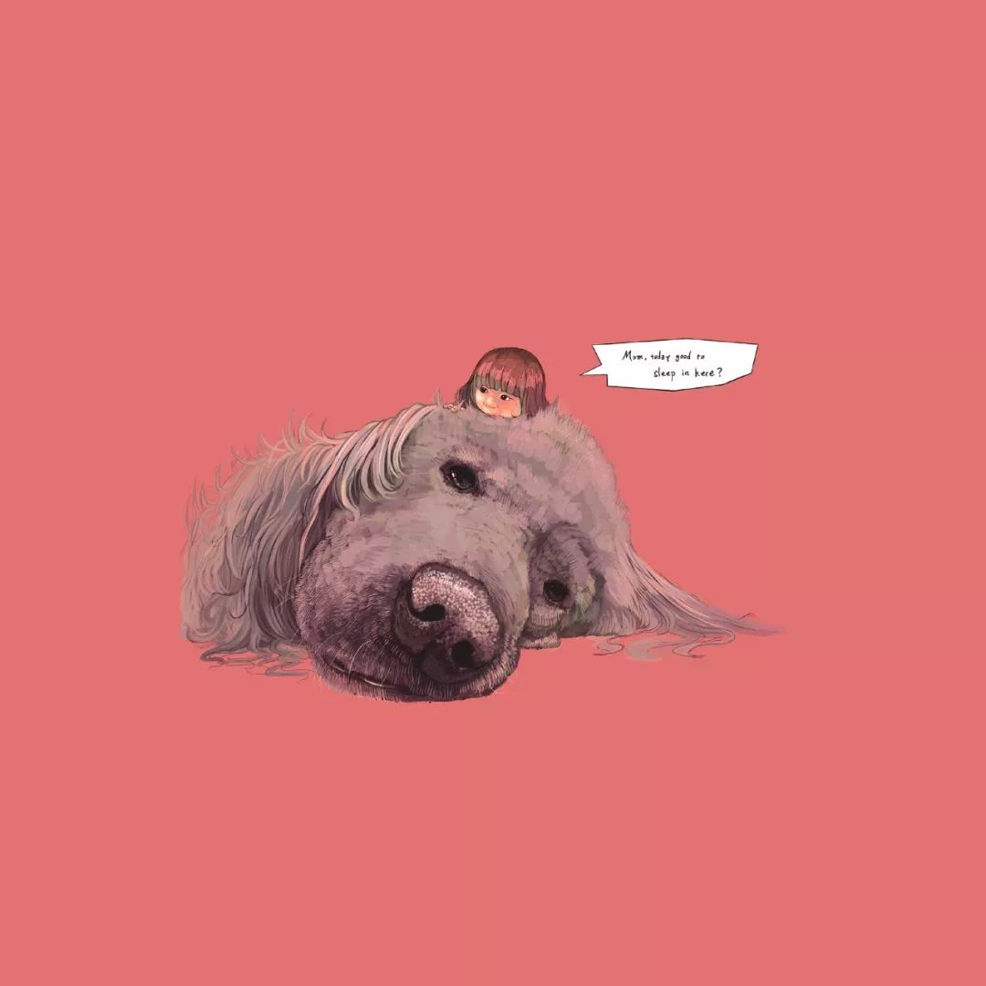 ipad用什么壁纸软件,壁纸ipad高清无水印