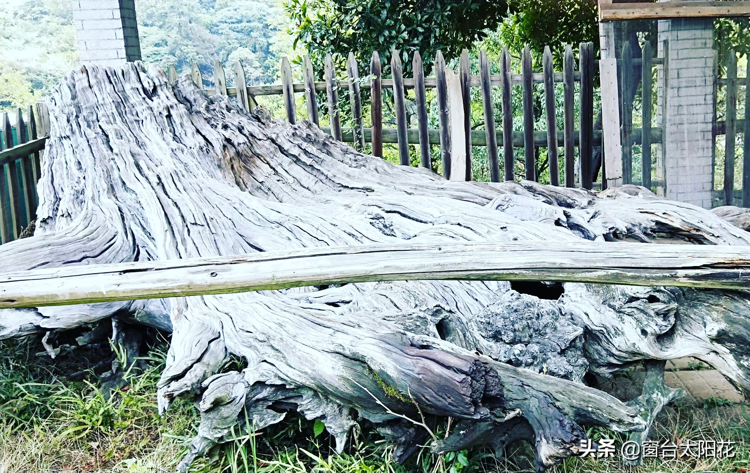 独自穷游西藏,独自穷游中国之湖北恩施