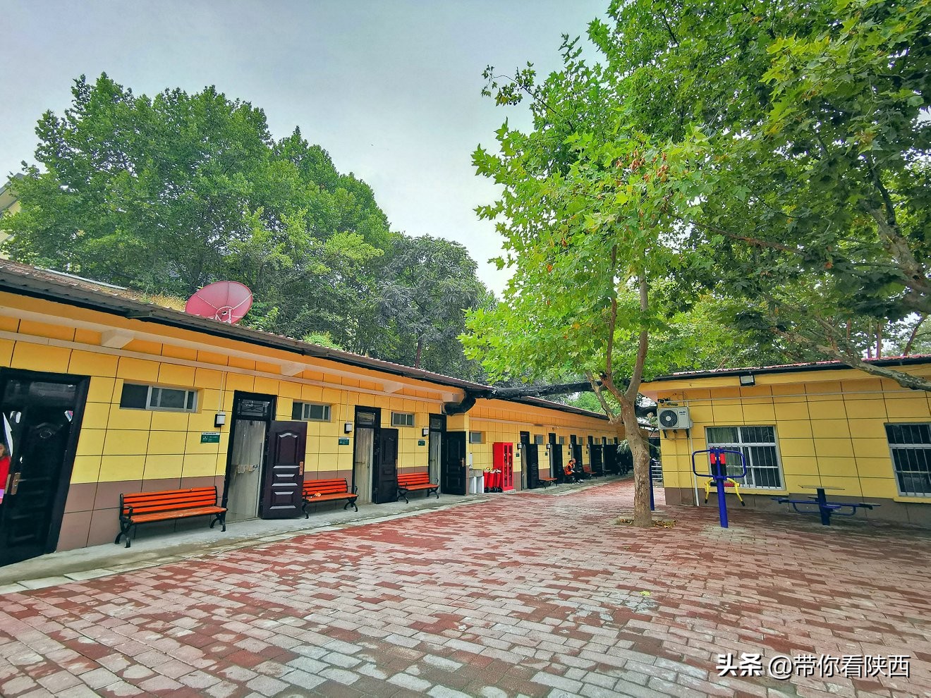 谷泽天下生态农场走进渭南市景华医养院举办重阳节爱心慰问活动