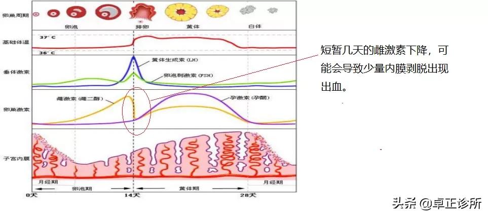 不是姨妈期间出血要怎么处理,不是姨妈为什么会出血