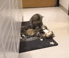 乳房胀痛按摩方式,胸部按摩靠谱吗