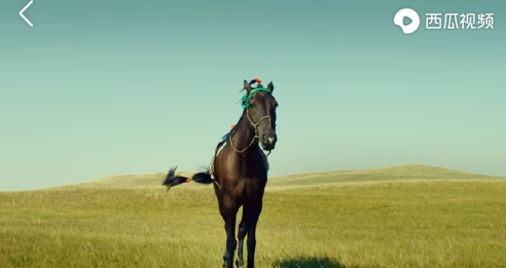 乌珠穆沁的孩子电影在线观看,乌珠穆沁的孩子怎么样