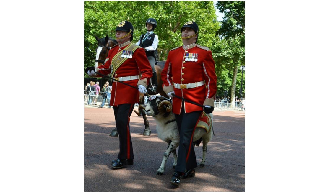 英陆军麦西亚团：历史、军改后的编制和军乐队