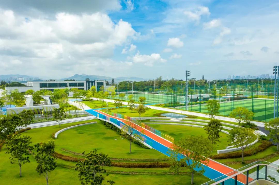 理论中心组进行集体学习,理论学习中心组集体学习计划