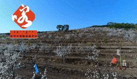 爱心桥护航学生,贫困小学爱心捐赠