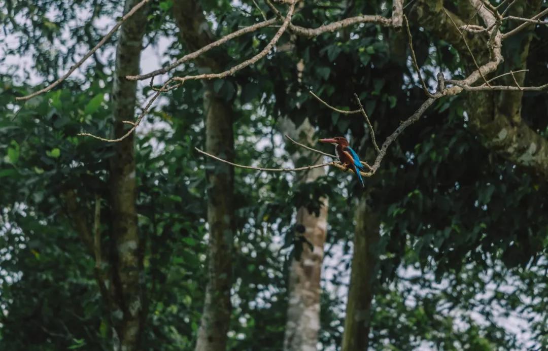 *局骗**和微笑,3000元带你体验双面尼泊尔