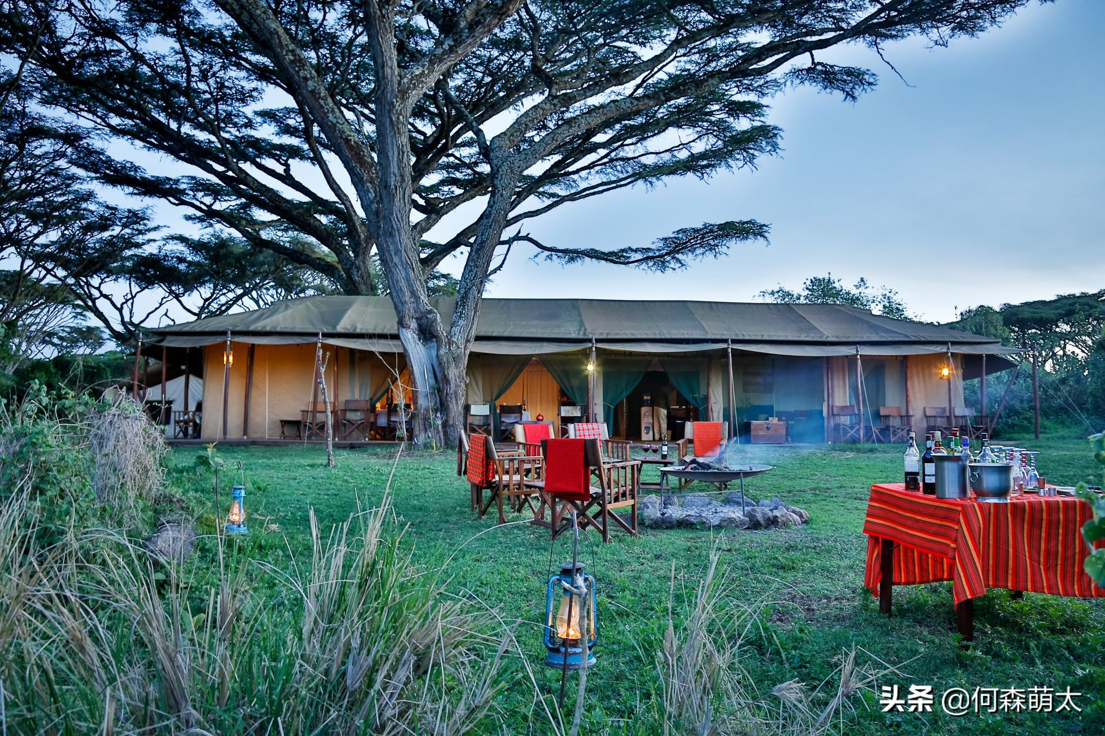 野奢帐篷酒店,轻奢帐篷酒店真实感受