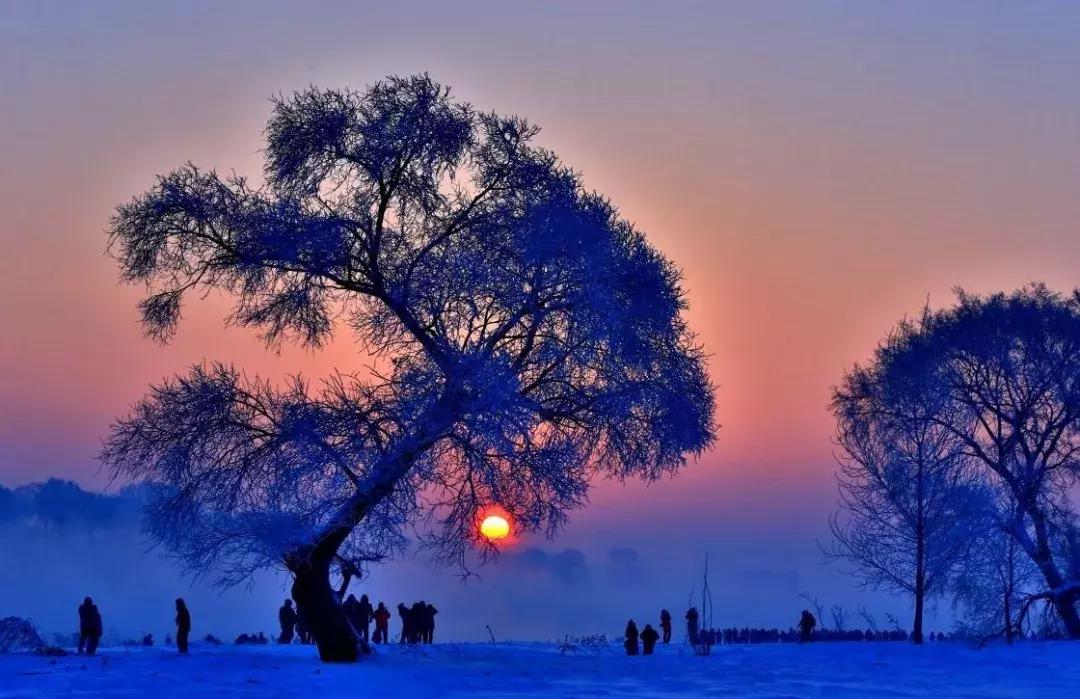 整改后的雪乡怎么样,雪乡整改后的真实感受