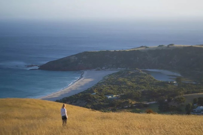 让黄晓明上瘾的南澳大利亚，到底有什么魔力？