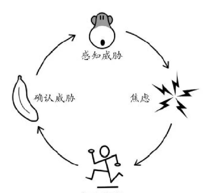 停止喂养你那颗焦虑的心II跳出猴子思维