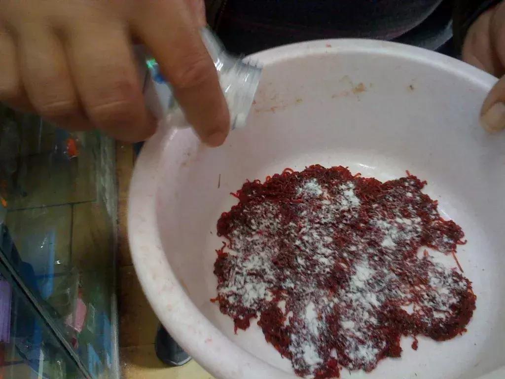 红虫蚯蚓大虾拉饵方法大集合,红虫虾饵蚯蚓拉饵