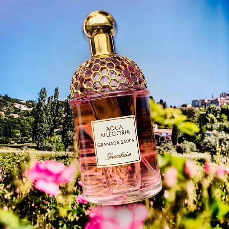 19年爆款香水,最新款魅力四射法国香水